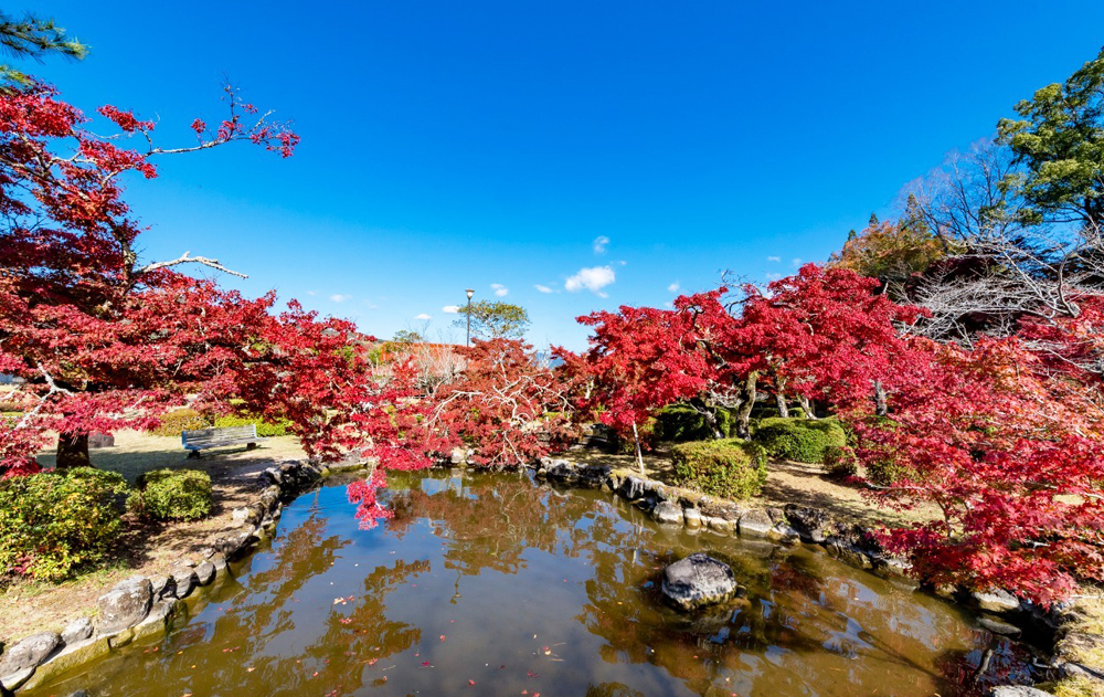 豊かな自然エリア