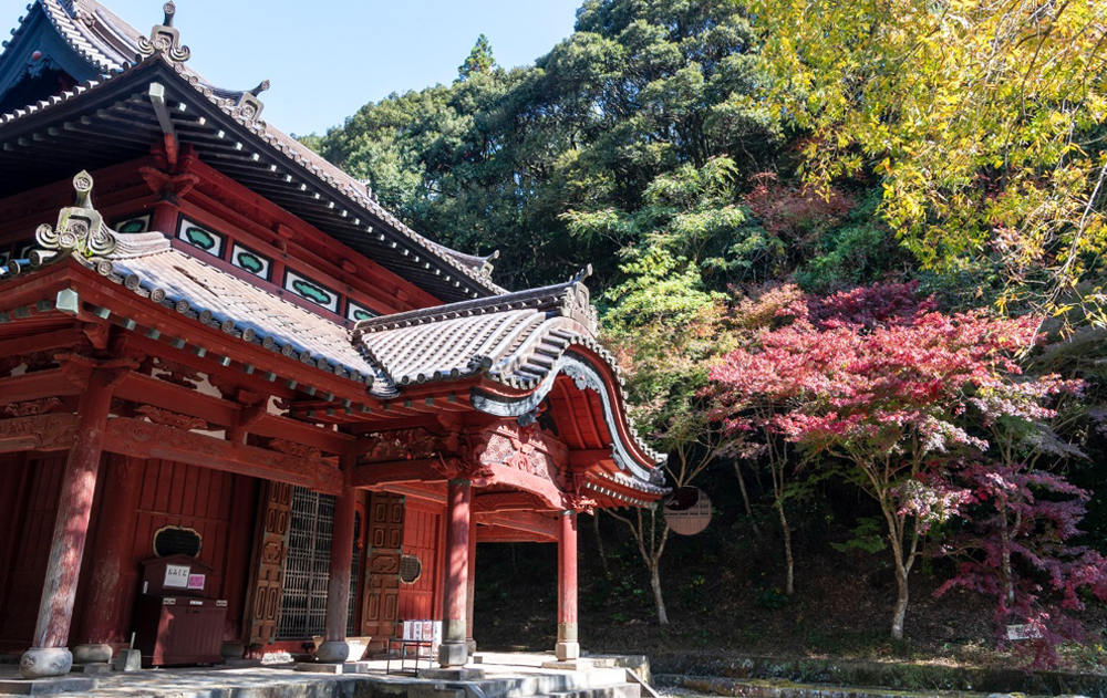 文教薫る文教エリア