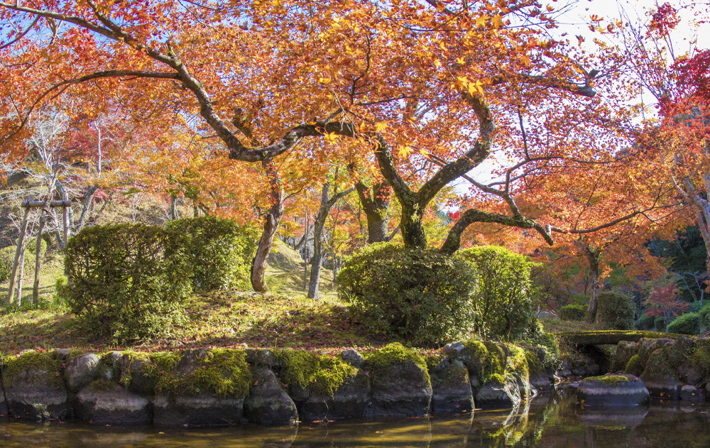 四季の自然景観
