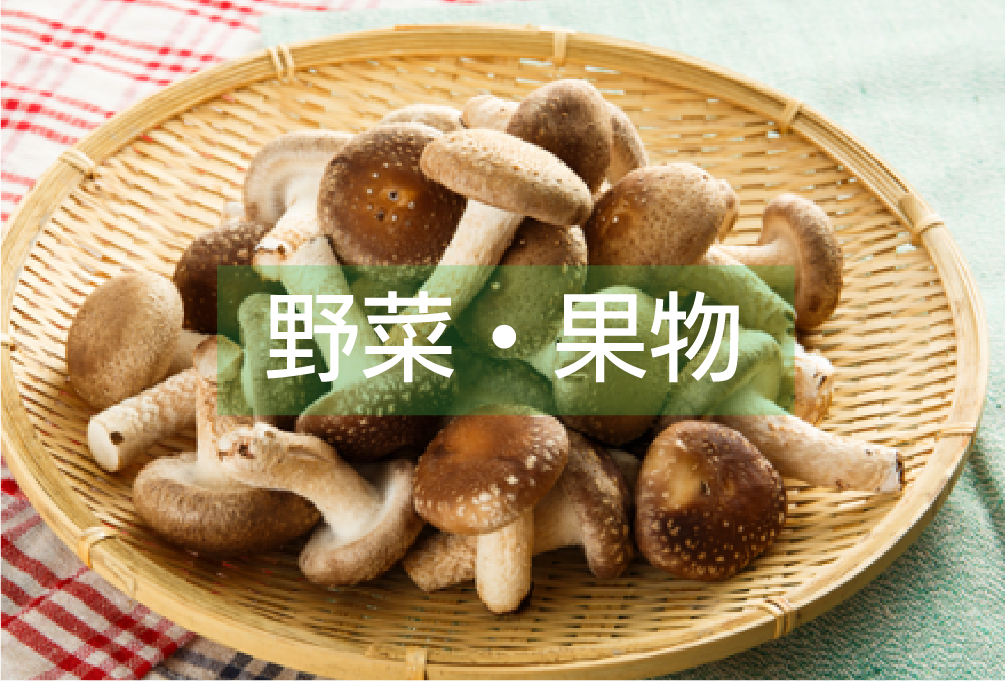 【b7】百人一首式論語カルタ＋解説書 ¥10,000 多久市ふるさと納税応援サイト